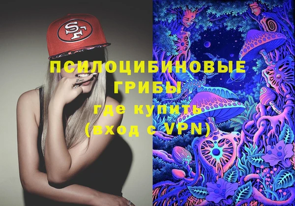 ГАЛЛЮЦИНОГЕННЫЕ ГРИБЫ Алексеевка