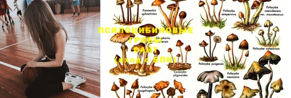герыч Алексин