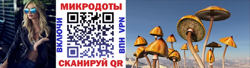 магазин продажи наркотиков  Уфа  Псилоцибиновые грибы Cubensis 